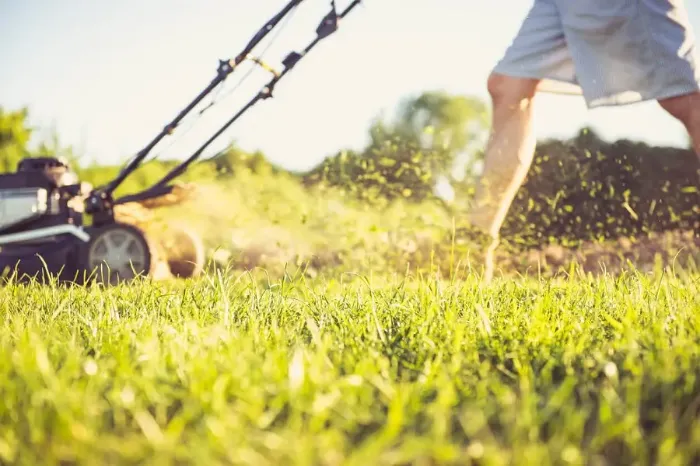 Can you mow wet grass in Lowell, MA