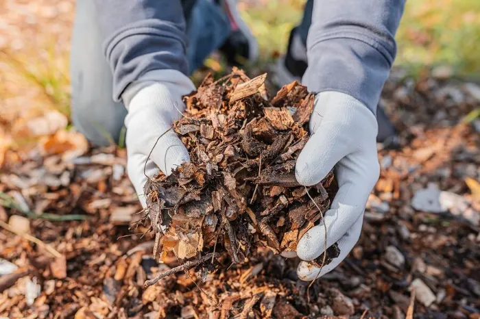 Dependable Mulching in Lowell, MA