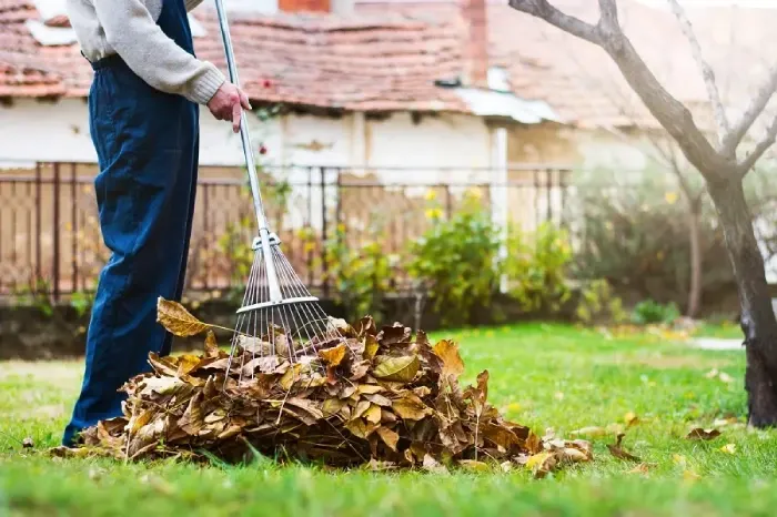 Detailed Yard Cleanup in Lowell, MA