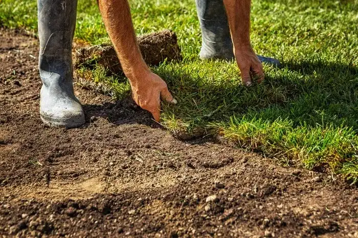 Excellent Sod Installation in Lowell, MA