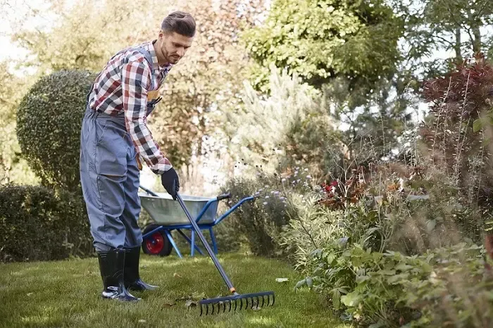 Exceptional Yard Cleanup in Lowell, MA