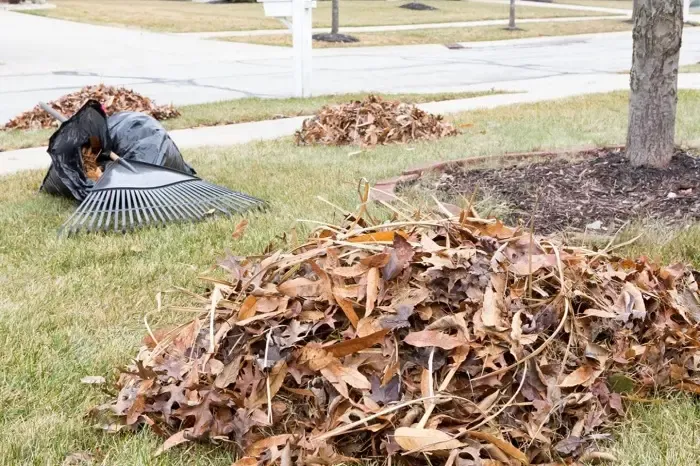 High-quality Yard Cleanup in Lowell, MA