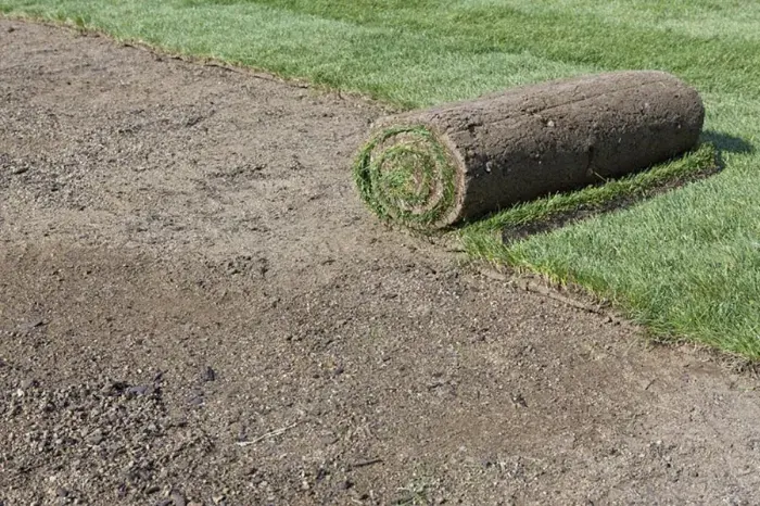 How long after installing sod can you walk on it Lowell, MA