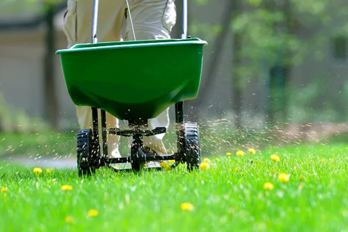 How often should you fertilize your lawn in Lowell, MA