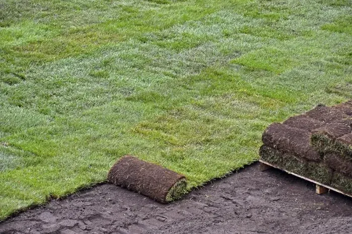 How to lay sod over existing lawn Lowell, MA