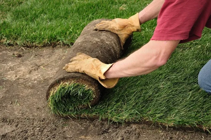 Proficient Sod Installation in Lowell, MA