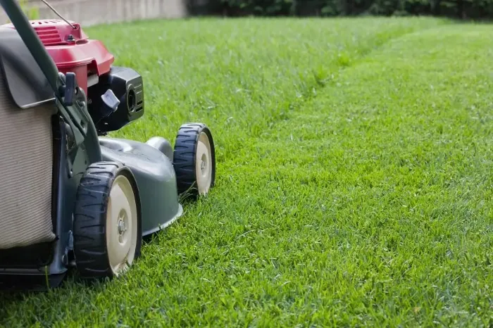 Reliable Lawn Mowing in Lowell, MA