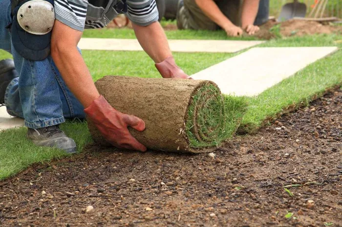 Trusted Sod Installation in Lowell, MA